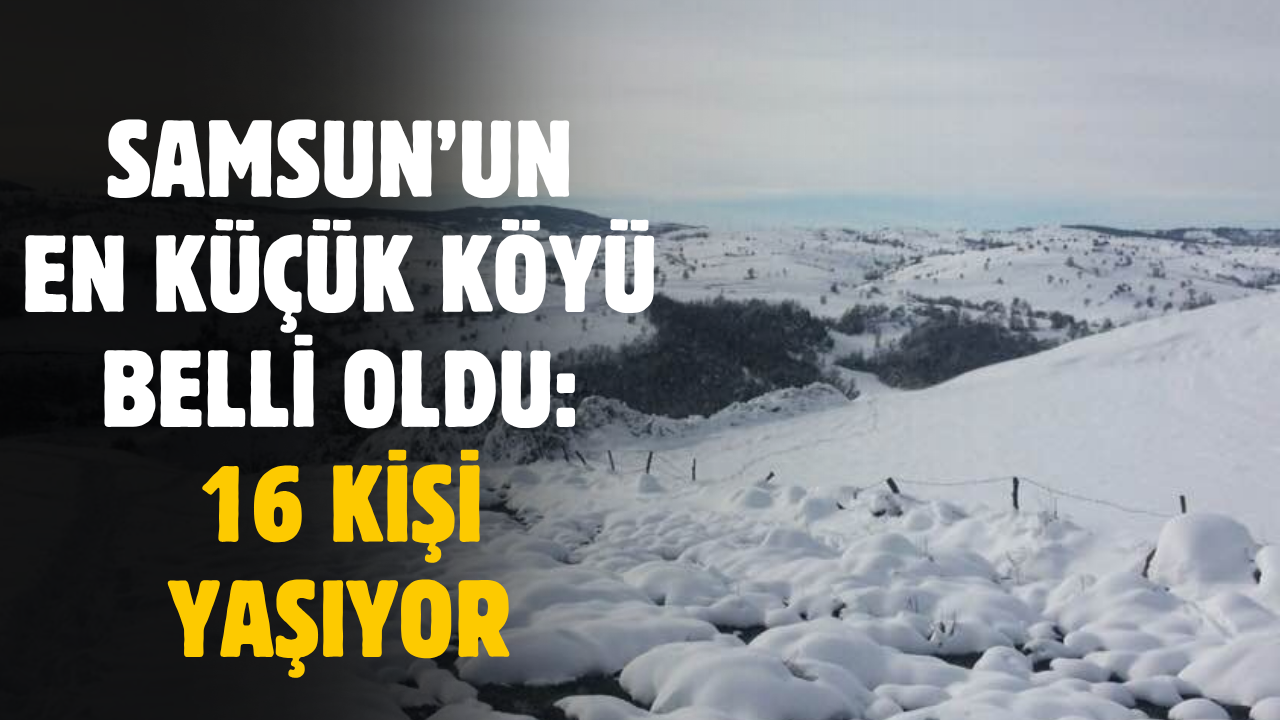 Bu köyde sadece 16 kişi yaşıyor! İşte Samsun'un en küçük köyü