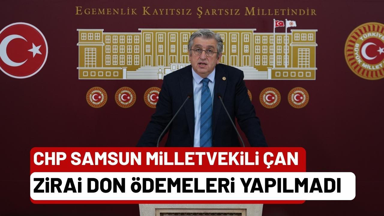 CHP Samsun Milletvekili Çan: Samsun'da zirai donla ilgili mağduriyetler giderilmeli