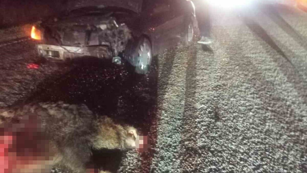 Domuza çarpan otomobil hurdaya döndü