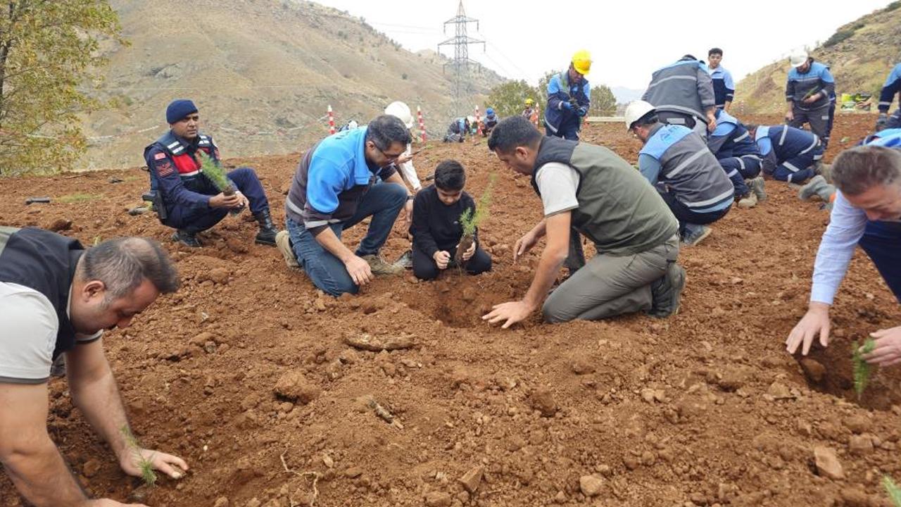 Eti Bakır’dan ağaçlandırma seferberliği