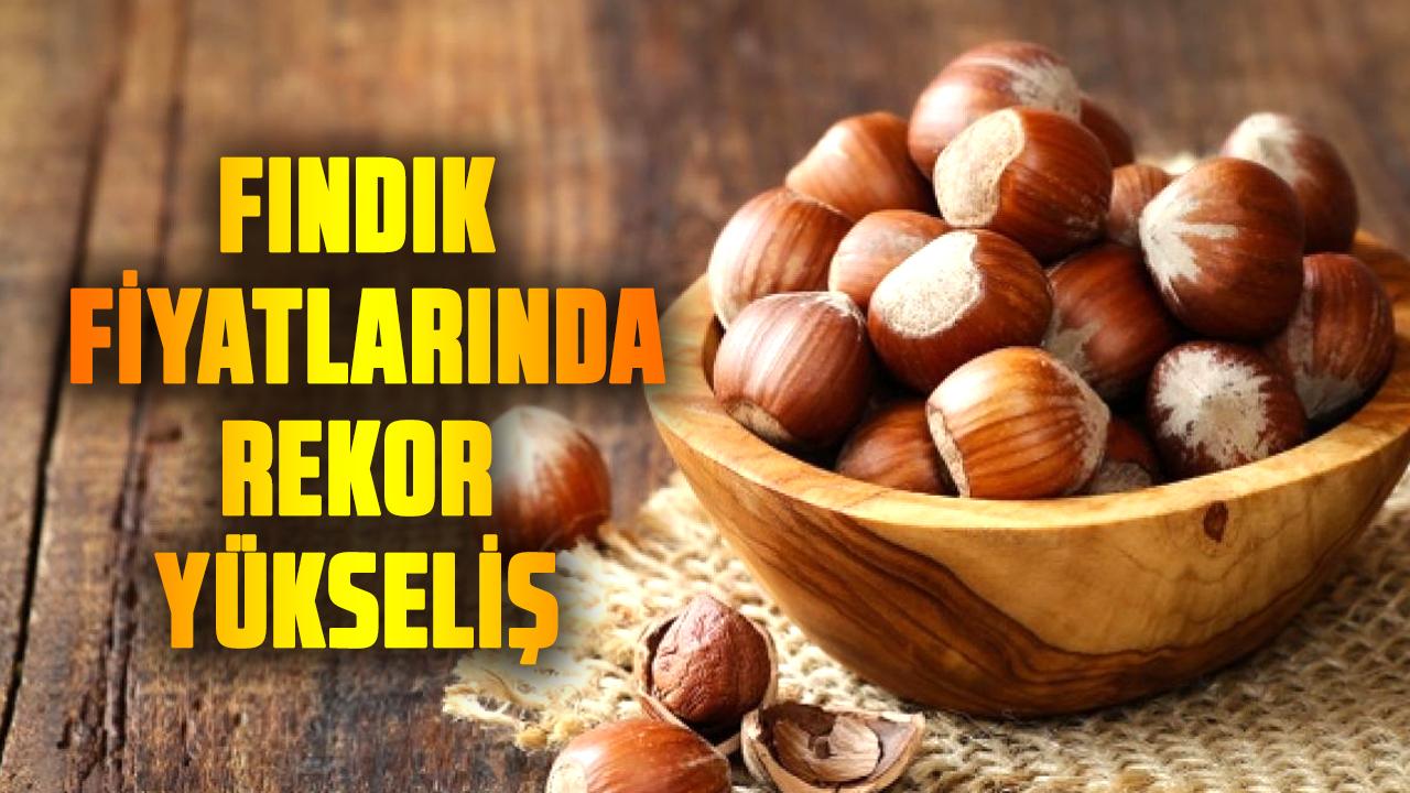 Fındık fiyatlarında rekor yükseliş! Fındık fiyatları hareketlendi tavan yapacak