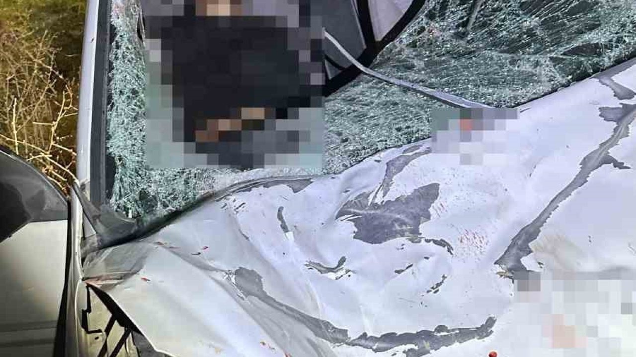 İki otomobil ile at çarpıştı: 1 ölü, 7 yaralı