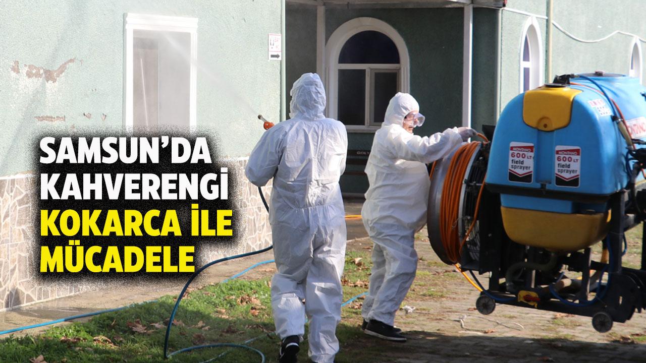 - Kahverengi kokarca ile mücadele: 850 hane, 23 kamu alanı ve 623 ahır ilaçlandı