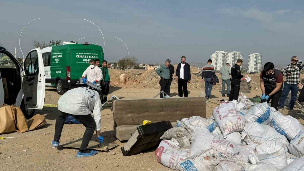 Korkunç cinayet: Öldürüp tuzlayıp halıya sarıp çekyatla atmışlar