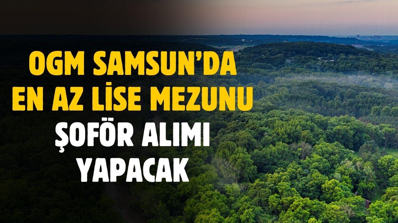 OGM Samsun'da en az lise mezunu şoför alımı yapacak