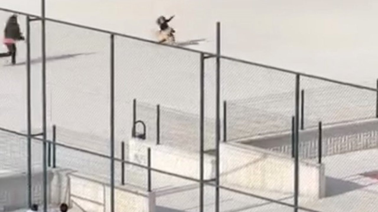 Okul bahçesine giren köpek çocuklara büyük panik yaşattı