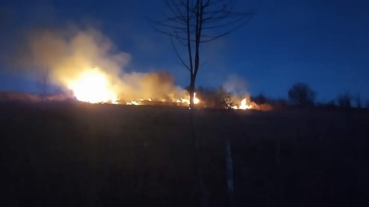 Ordu’da fındık bahçesinde yangın çıktı