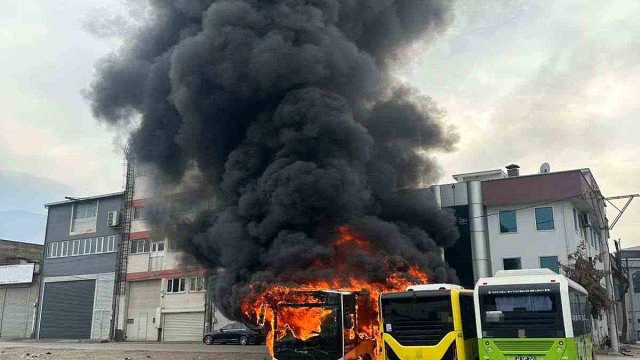 Park halindeki otobüsler cayır cayır yandı