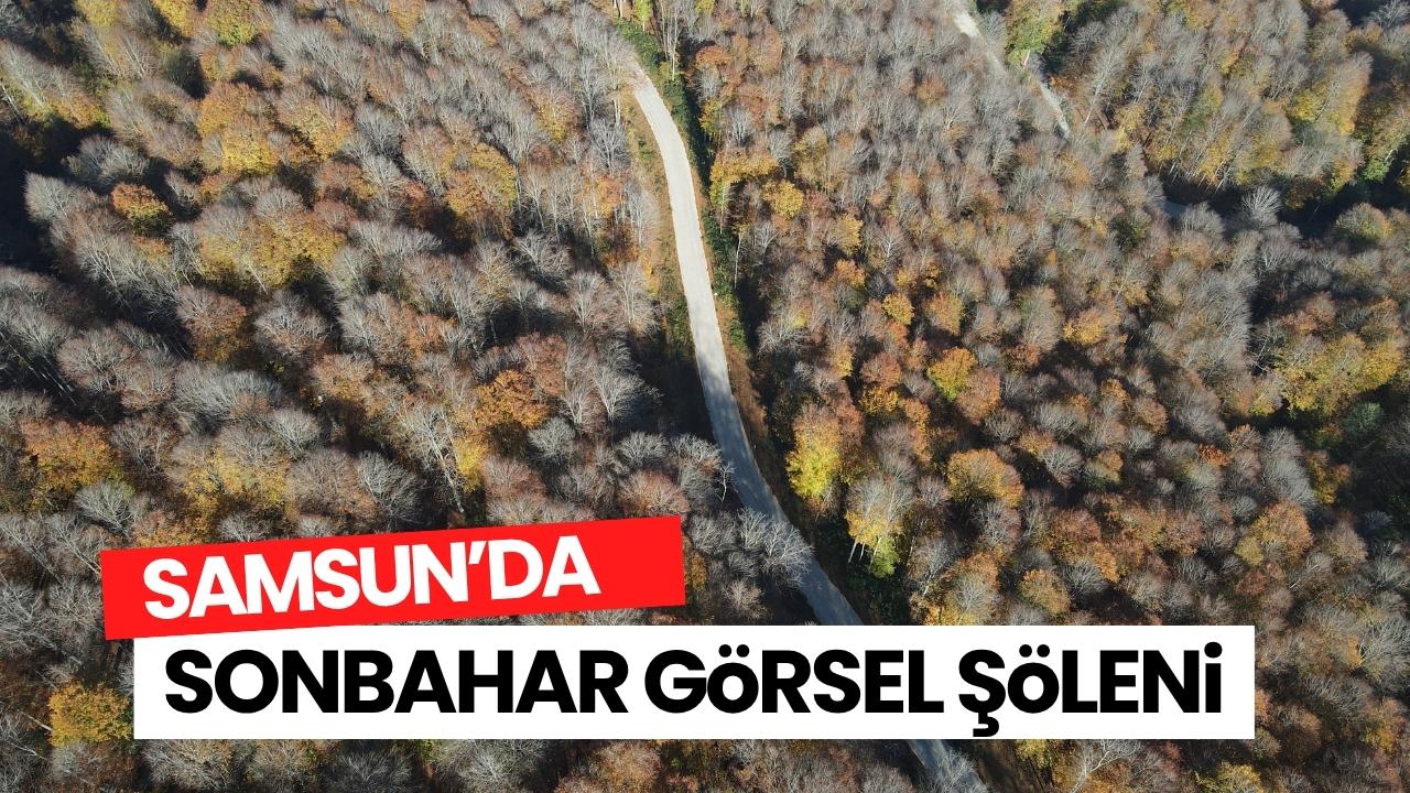 Samsun sonbahar renklerine büründü