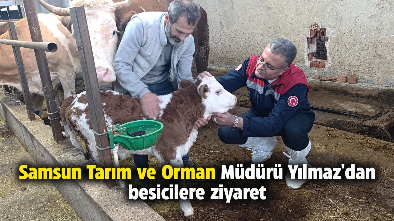 Samsun Tarım ve Orman Müdürü Yılmaz'dan besicilere ziyaret