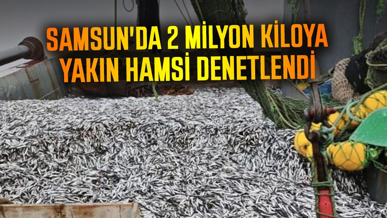 Samsun'da 2 milyon kiloya yakın hamsi denetlendi