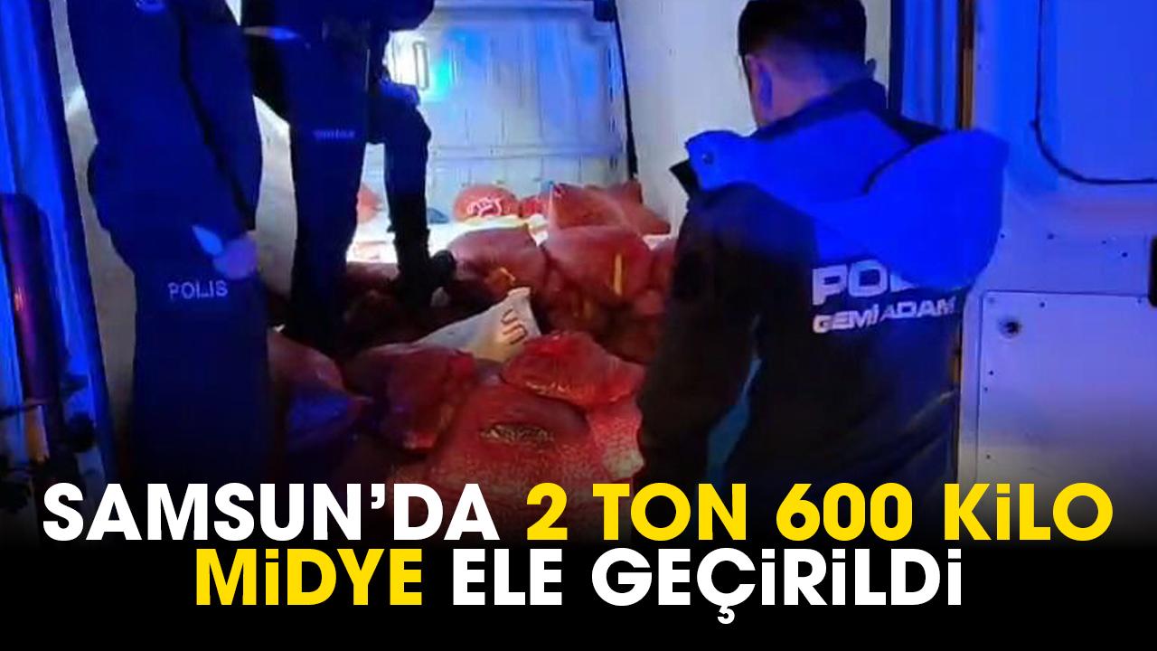 Samsun’da 2 ton 600 kilo midye ele geçirildi