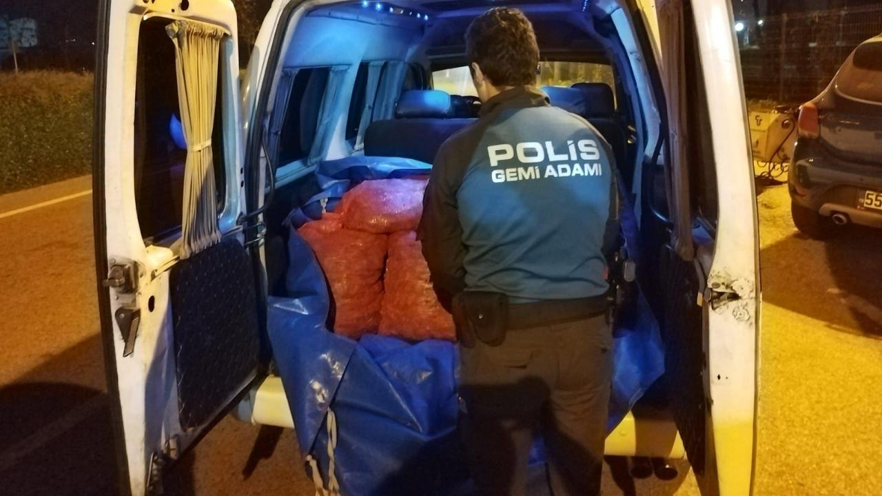 Samsun'da 200 kilogram kaçak midye ele geçirildi