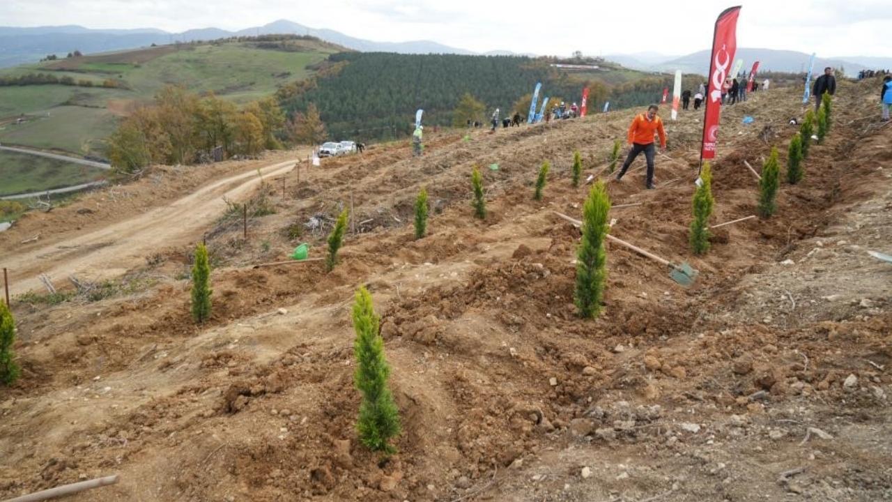 Samsun’da 37 bin 380 fidan toprakla buluşacak