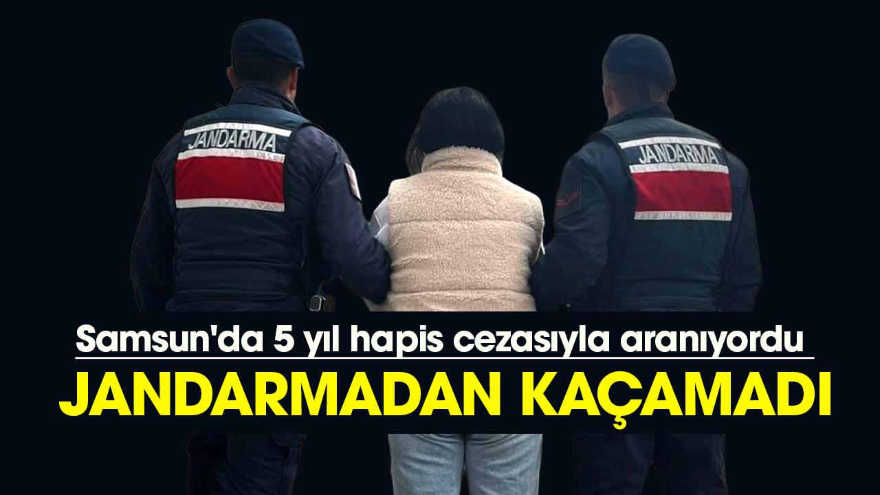Samsun'da 5 yıl hapis cezasıyla aranan şahıs jandarmadan kaçamadı