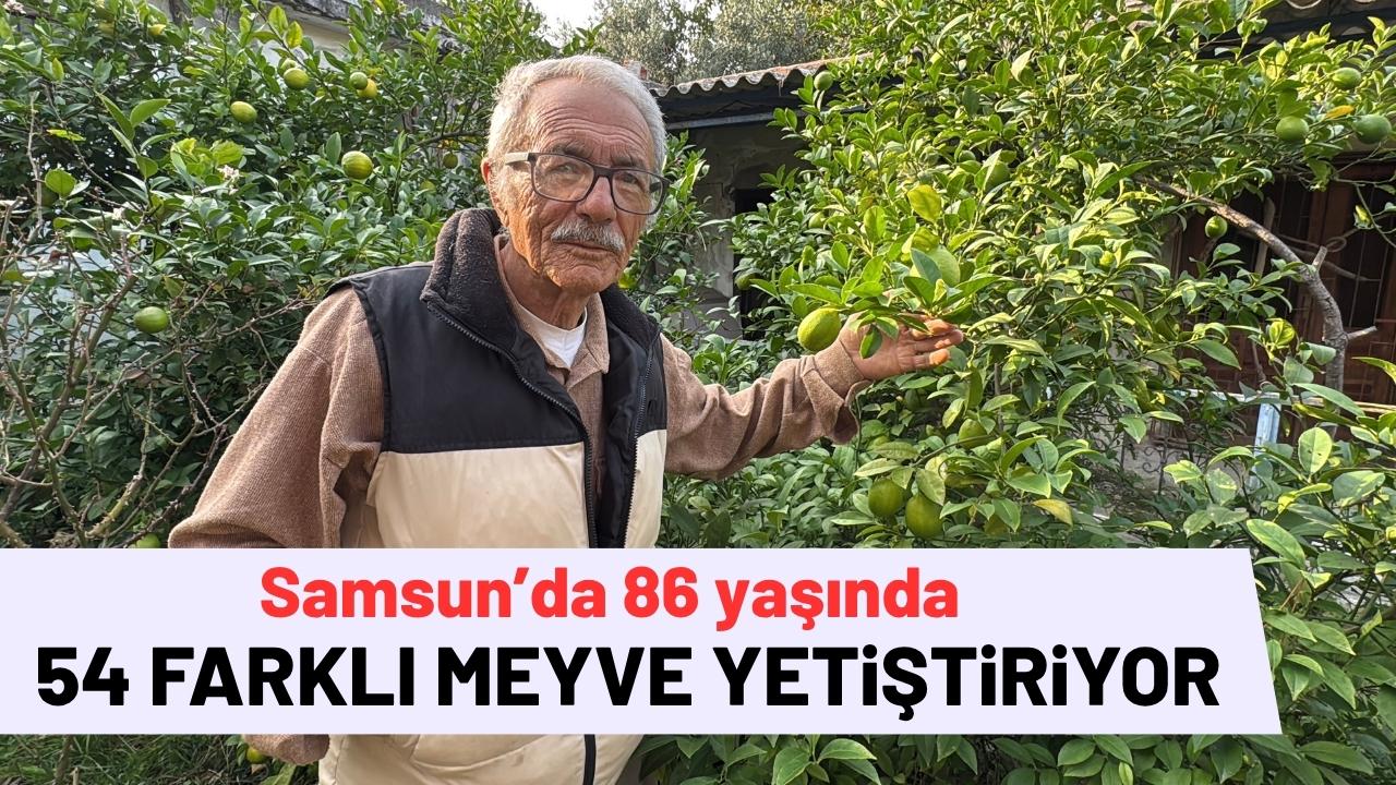 Samsun'da 86 yaşında 54 farklı organik meyve yetiştiriyor