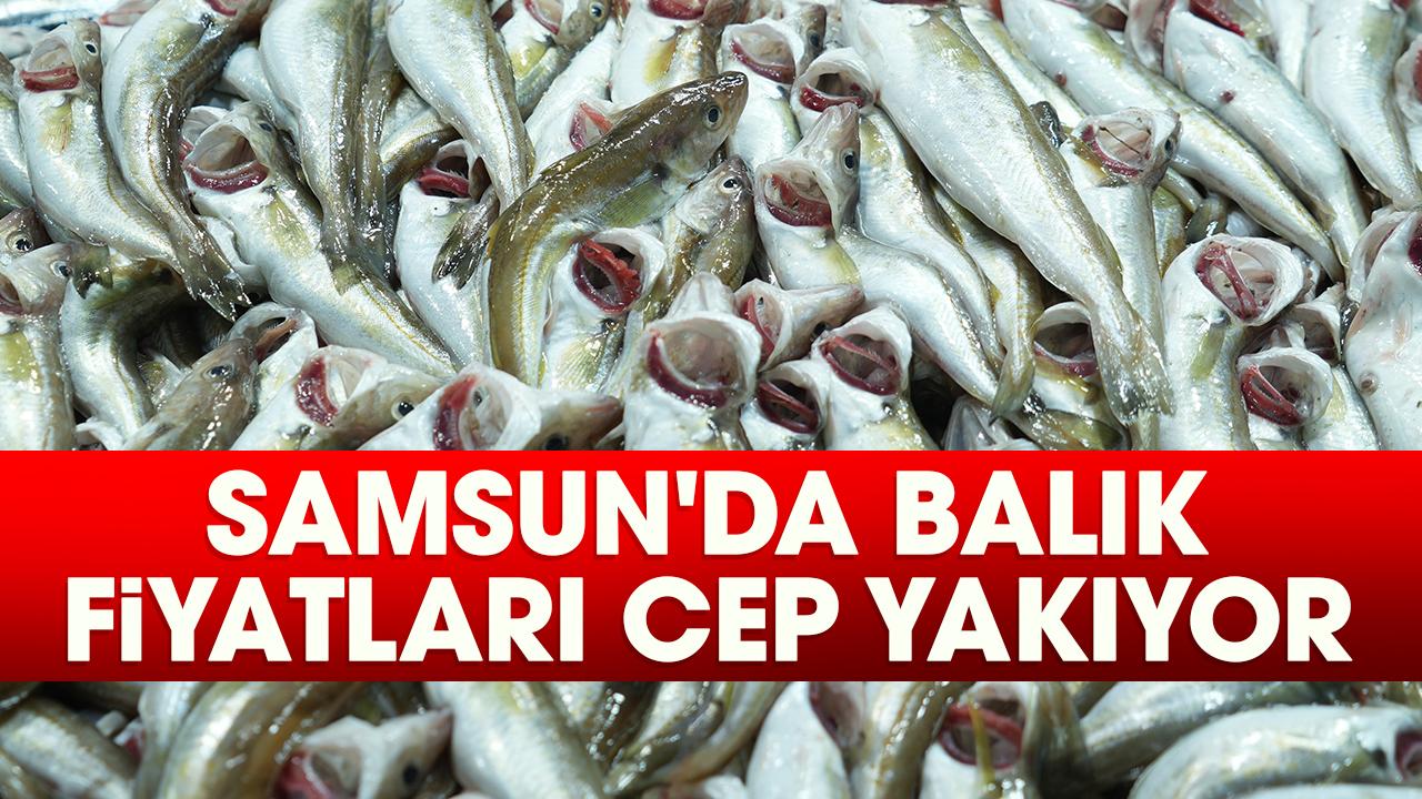 Samsun'da balık fiyatları cep yakıyor