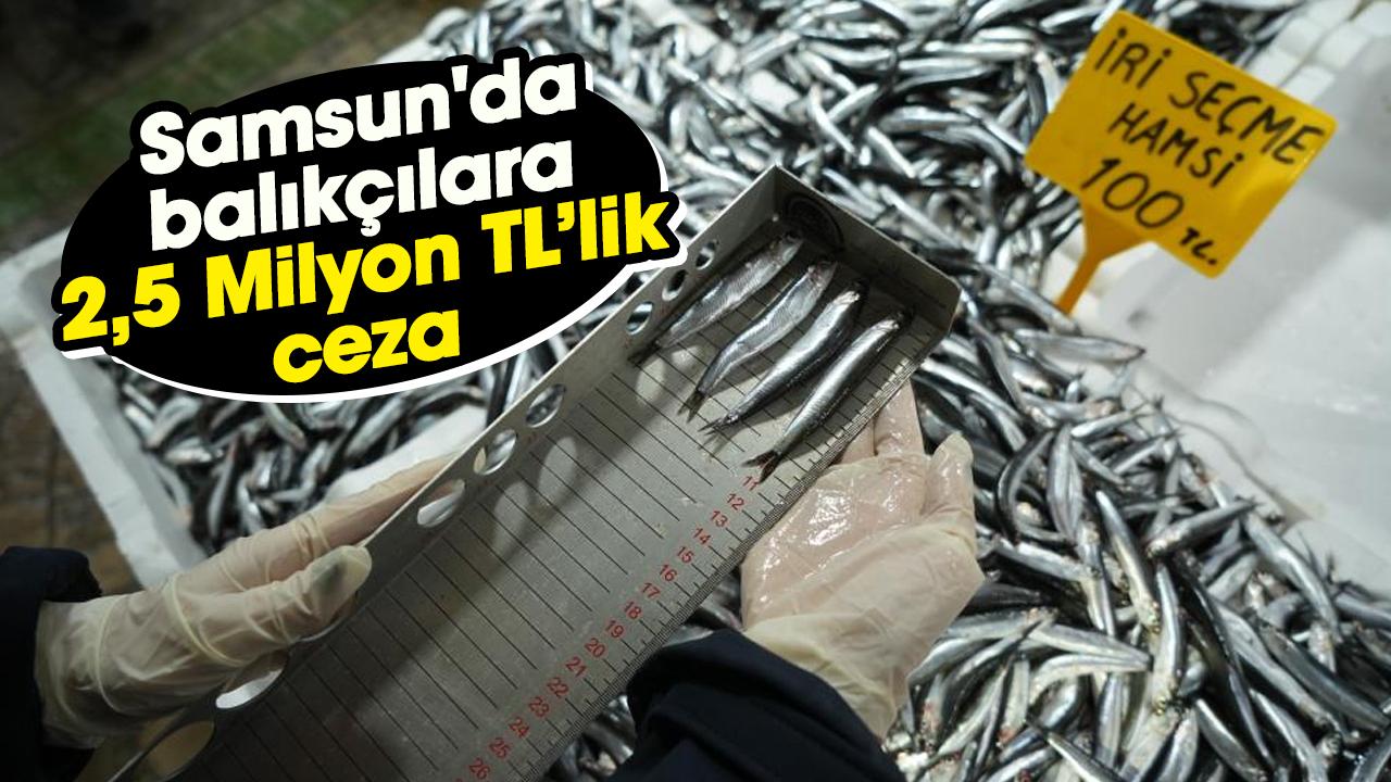 Samsun'da balık satıcılarına 2,5 Milyon TL’lik ceza