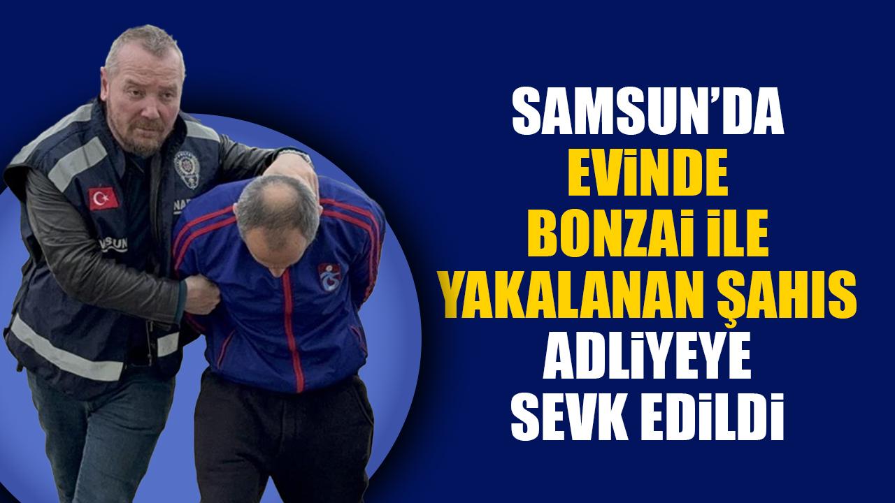 Samsun'da evinde bonzai ele geçirilen şahıs adliyeye sevk edildi