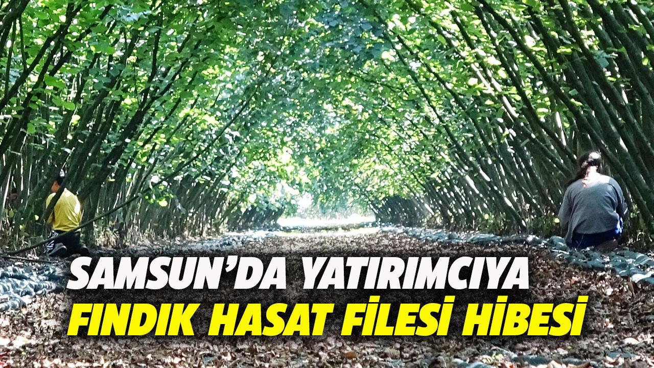 Samsun'da fındık yatırımcısına hibe