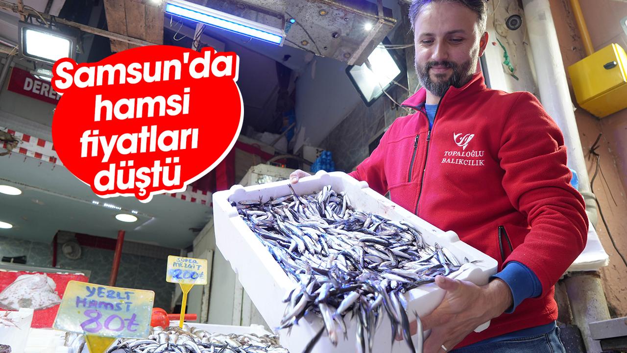 Samsun'da hamsi fiyatları düştü