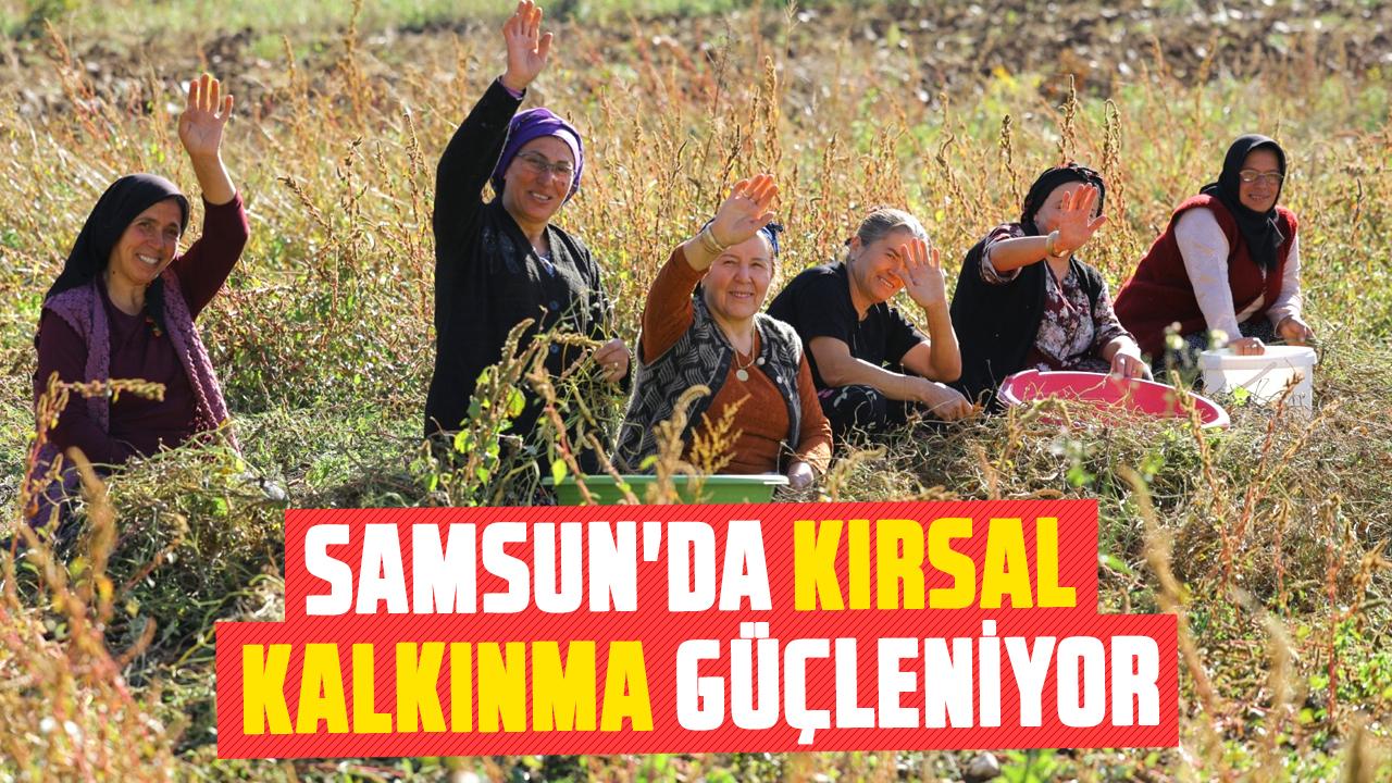 Samsun'da kırsan kalkınma güçleniyor