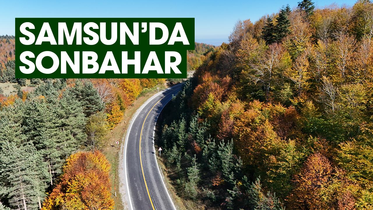 Samsun'da Kızlan Yaylası sonbahar renkleriyle büyülüyor