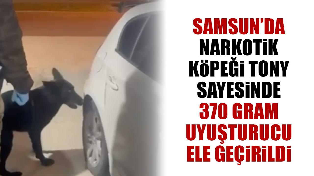 Samsun'da narkotik operasyonu! Dedektör köpeği Tony sayesinde 370 gram uyuşturucu madde ele geçirildi