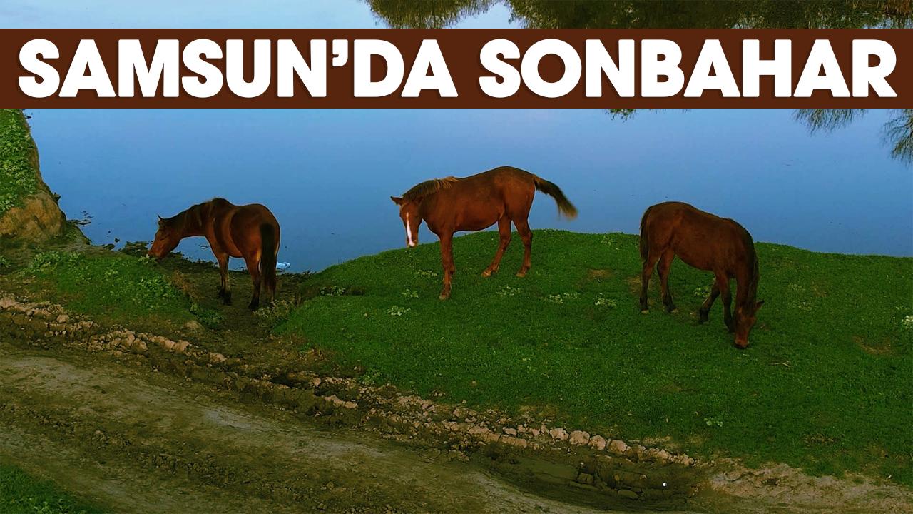 Samsun’da suları çekilen göller sonbahar yağışlarıyla canlandı