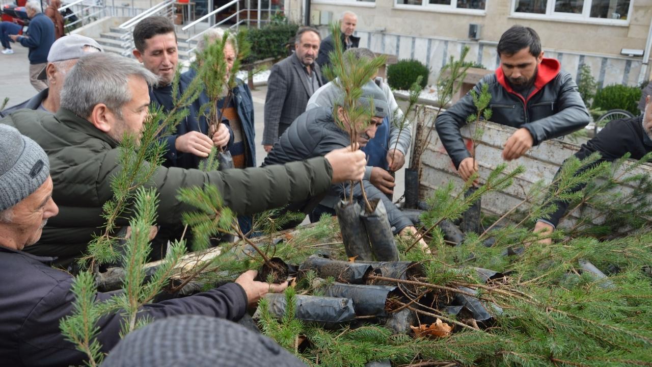 Samsun'da vatandaşlara ücretsiz fidan dağıtıldı