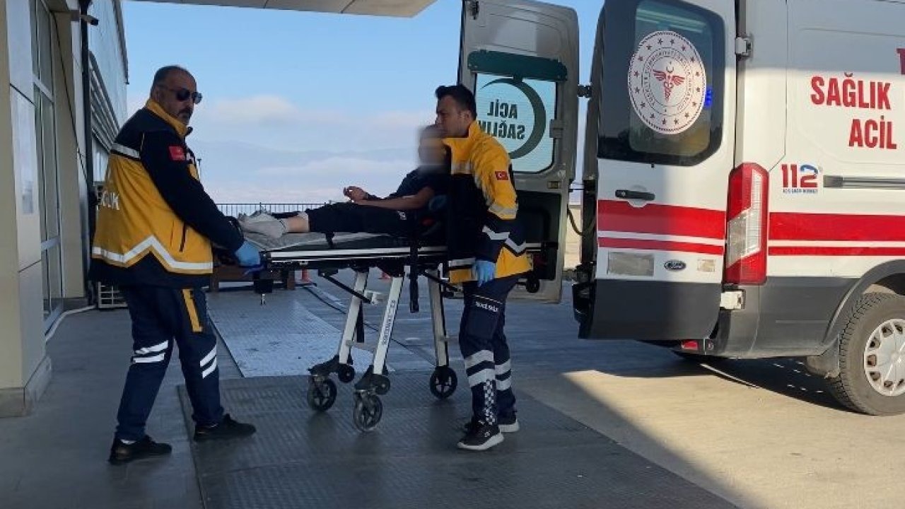 Sokak köpekleri küçük kıza dehşeti yaşattı