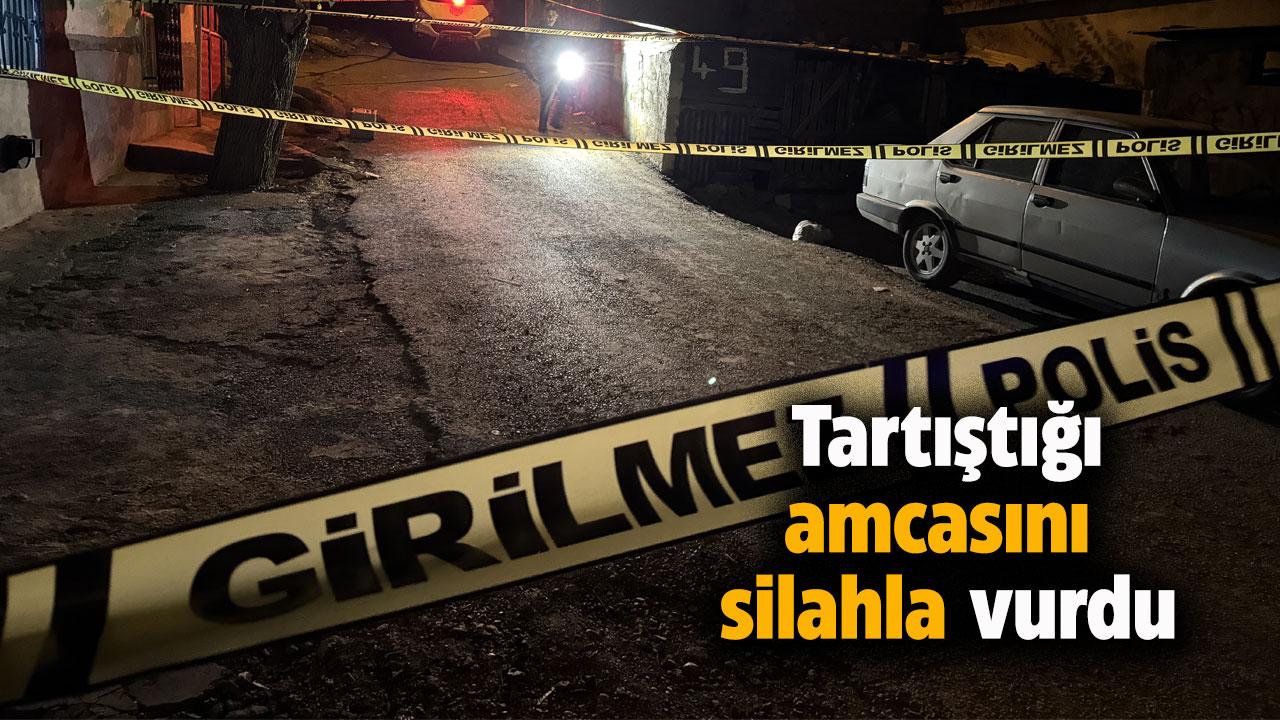 Tartıştığı amcasını silahla vurdu