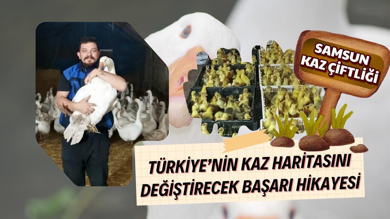 Türkiye'nin kaz haritasını değiştirecek başarı hikayesi: Samsun Kaz Çiftliği
