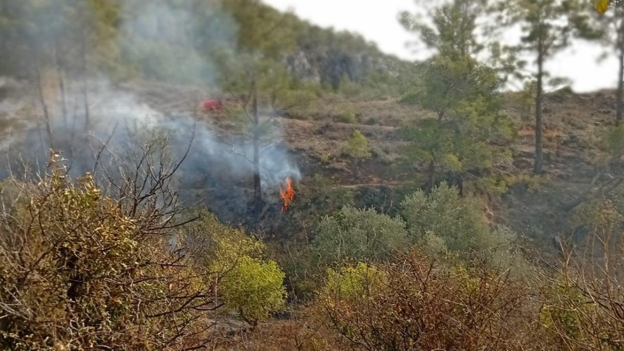 Yaşlı adamın feci ölümü: Bahçesini temizlerken yangında can verdi