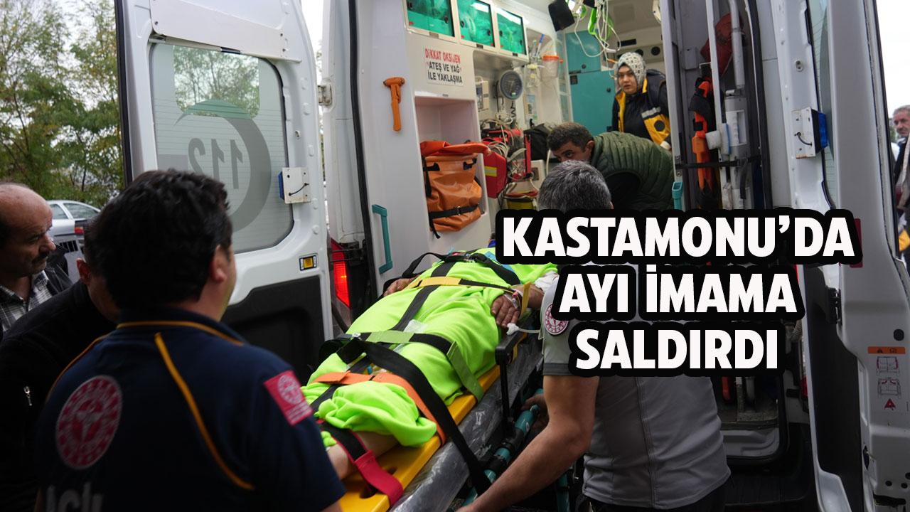 Yer Kastamonu! Ayı imama saldırdı!