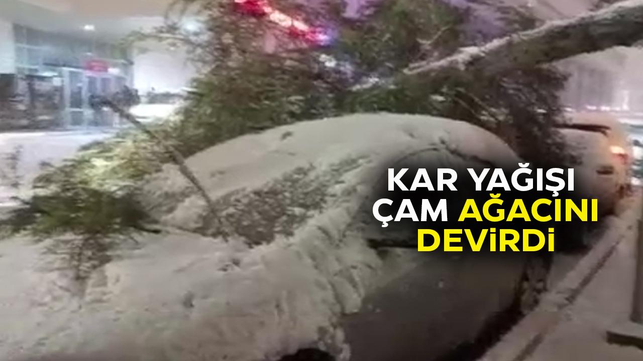 Acil serviste kar ağacı devirdi