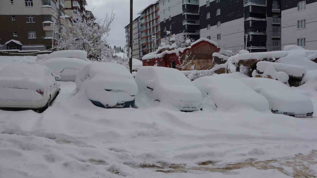 Bitlis’te arabalar ve tek katlı evler kara gömüldü