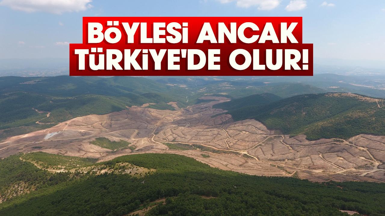 Böylesi ancak Türkiye'de olur!