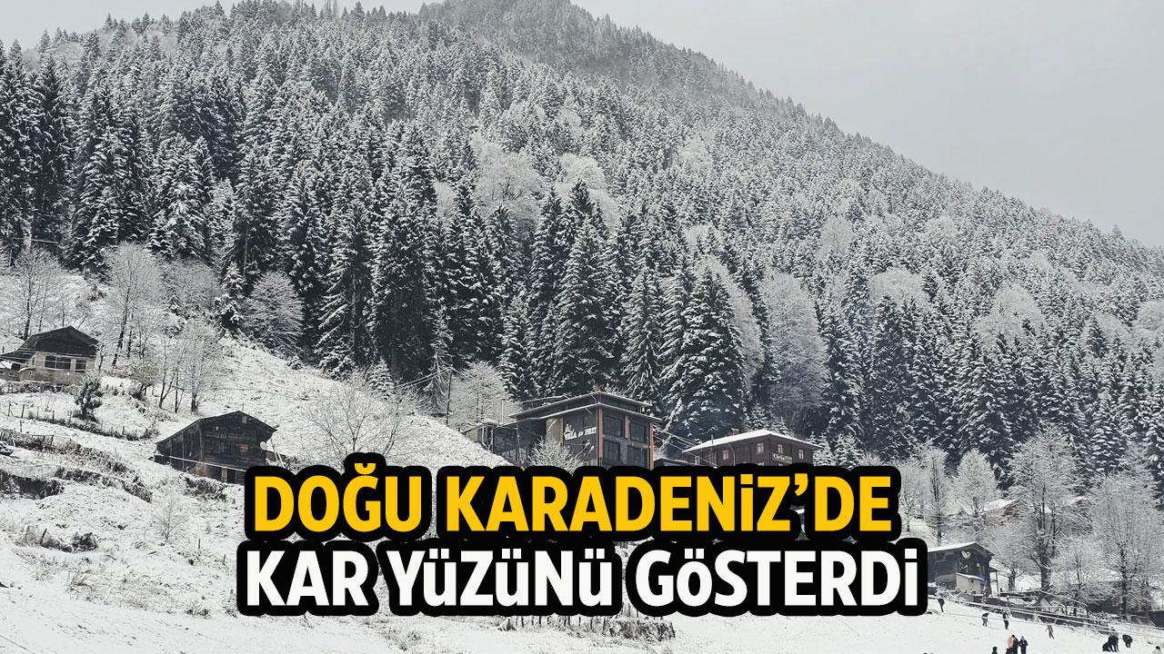 Doğu Karadeniz'de kar yağışı