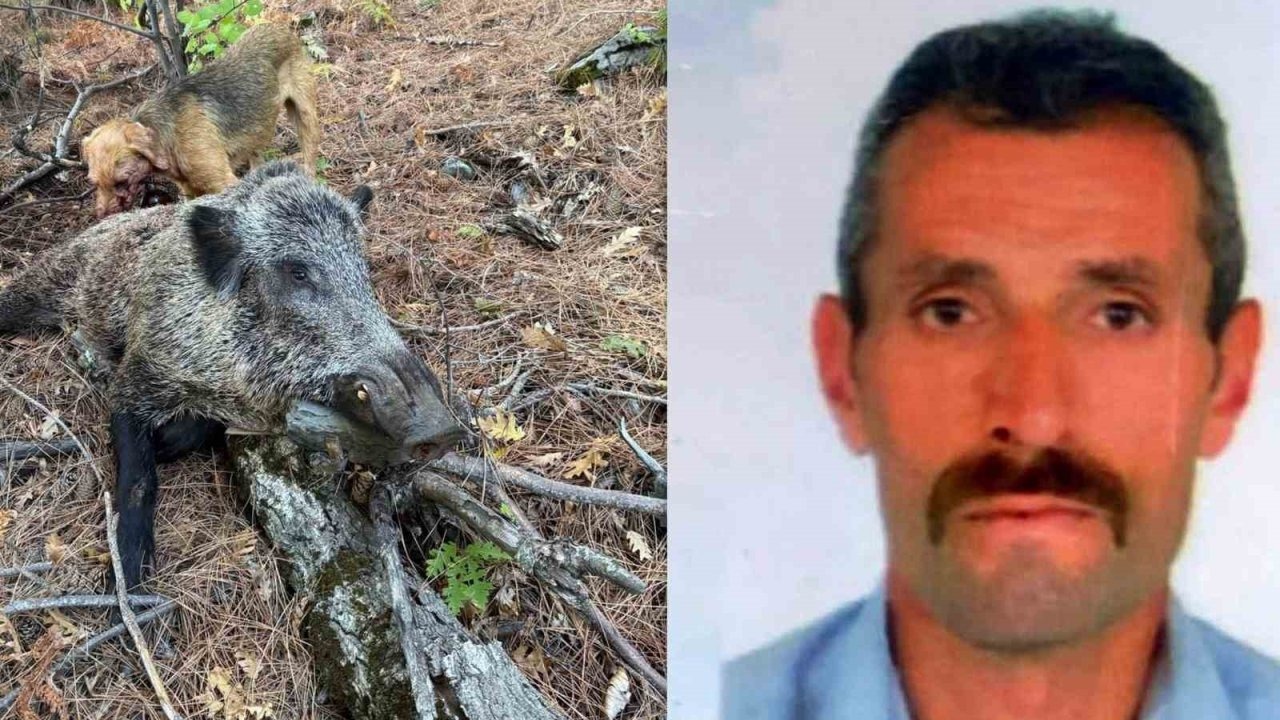 Domuzun saldırısına uğrayan avcı öldü