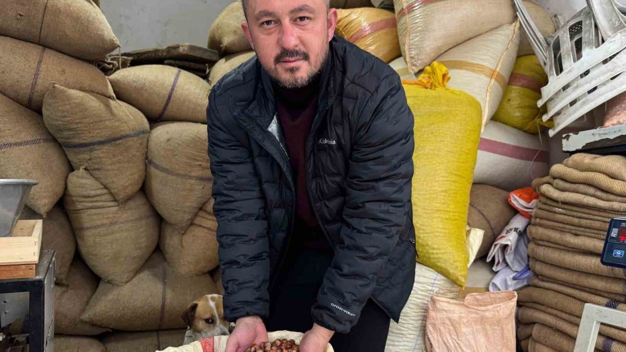 Fındık fiyatı yılbaşına günler kala yükselişe geçti