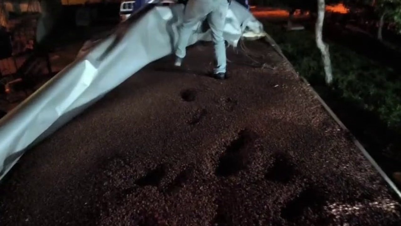 Fındıkla kamufle edilen tırdan 30 milyonluk kaçak makaron çıktı