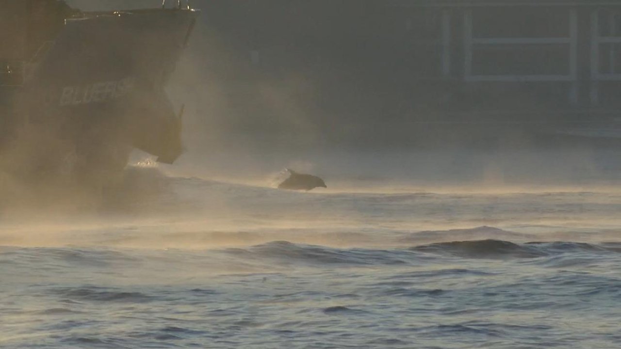 İstanbul Boğazı'nda ilginç görüntüler: Denize neler oluyor? Kaynıyor gibi