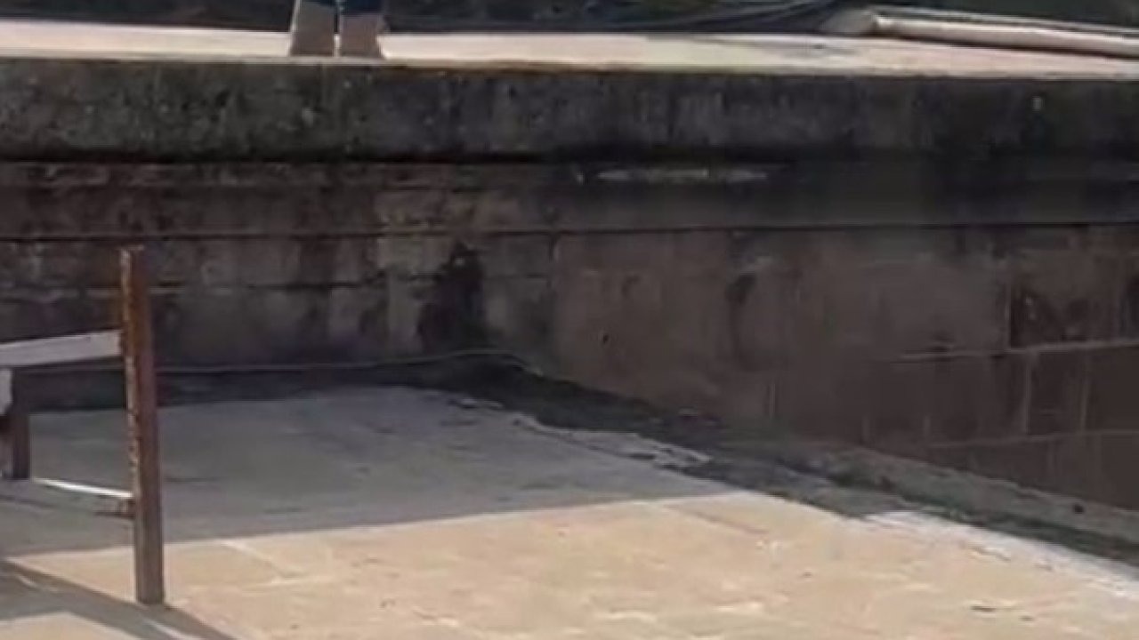 İşten atıldım diyerek Balıklıgöl’e atladı