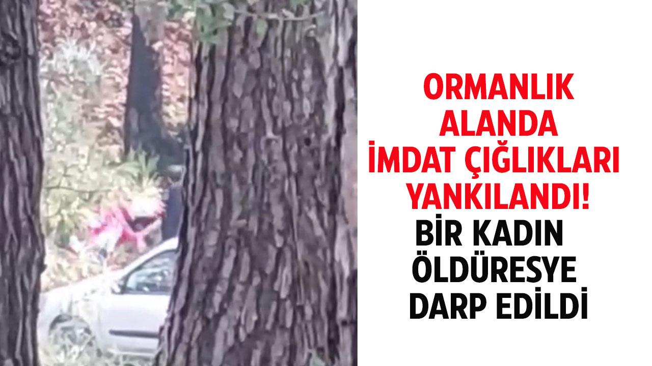 İzmir’de imdat çığlıkları! Bir kadın ormanda darp edildi