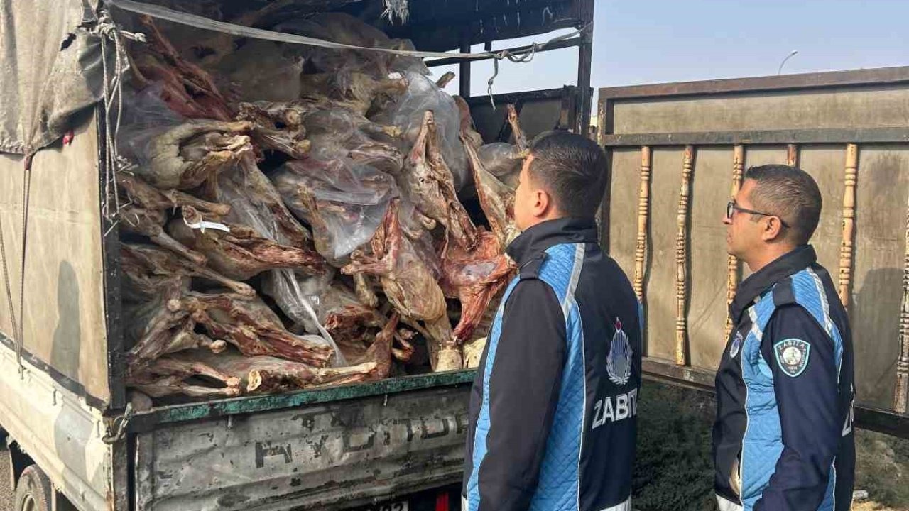 Kamyonet kasasında kilolarca bozuk et ele geçirildi