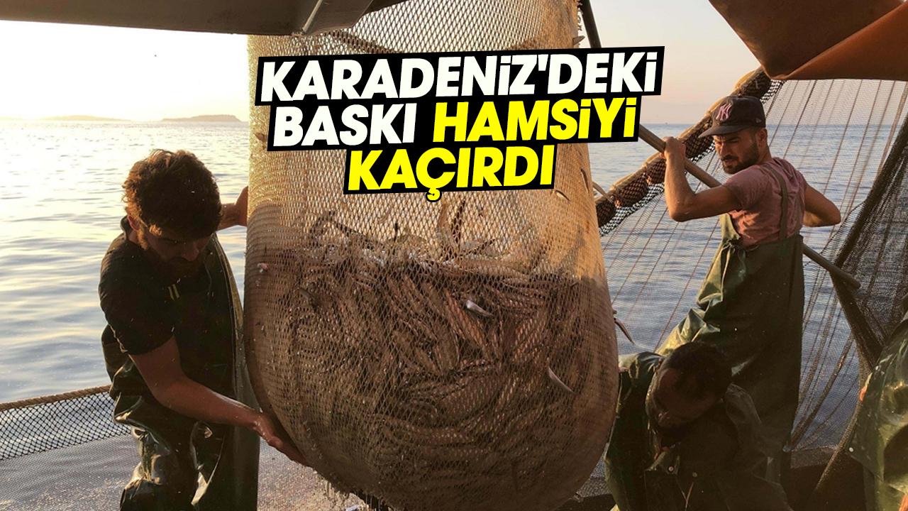 Karadeniz'deki baskı hamsiyi kaçırdı