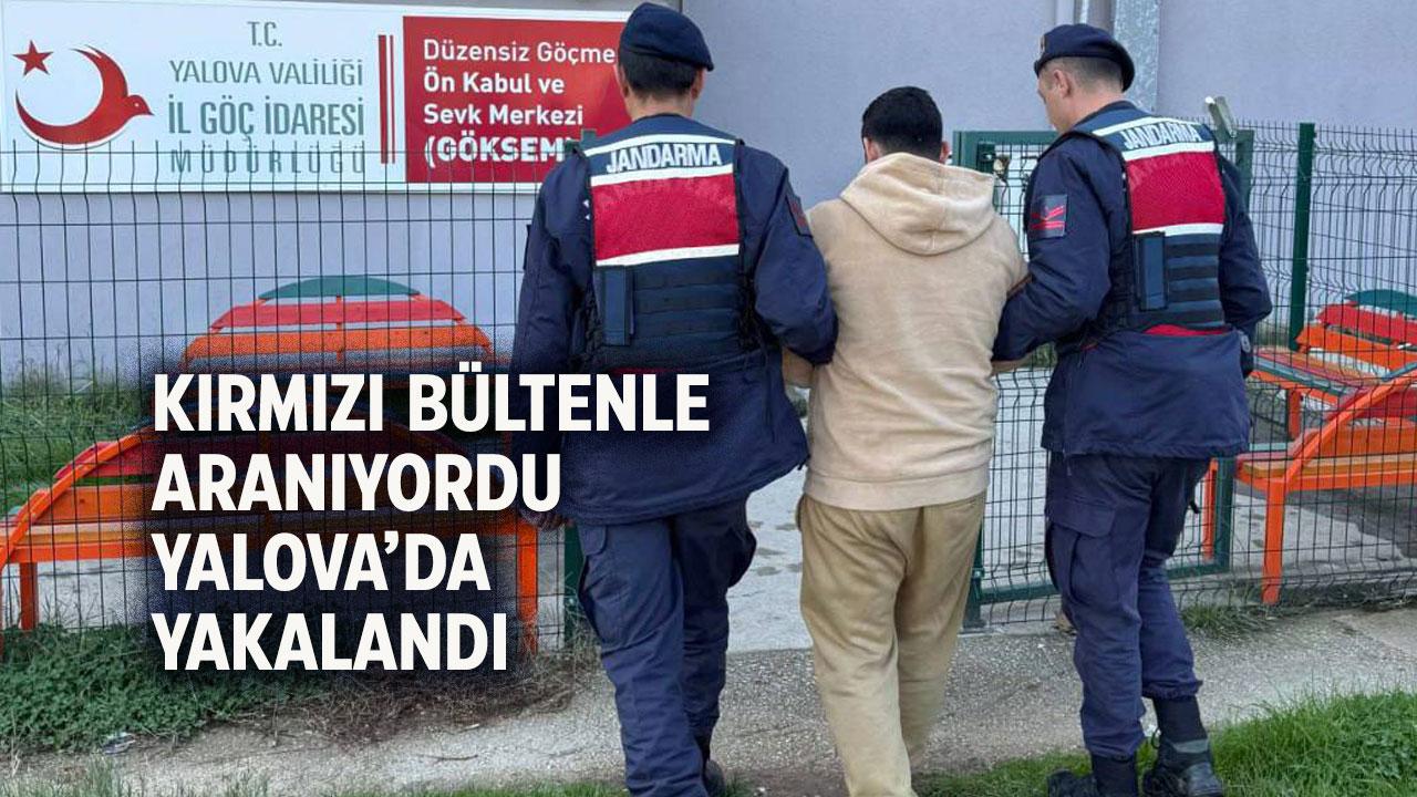 Kırmızı bültenle aranan Alman vatandaşı Yalova'da yakalandı