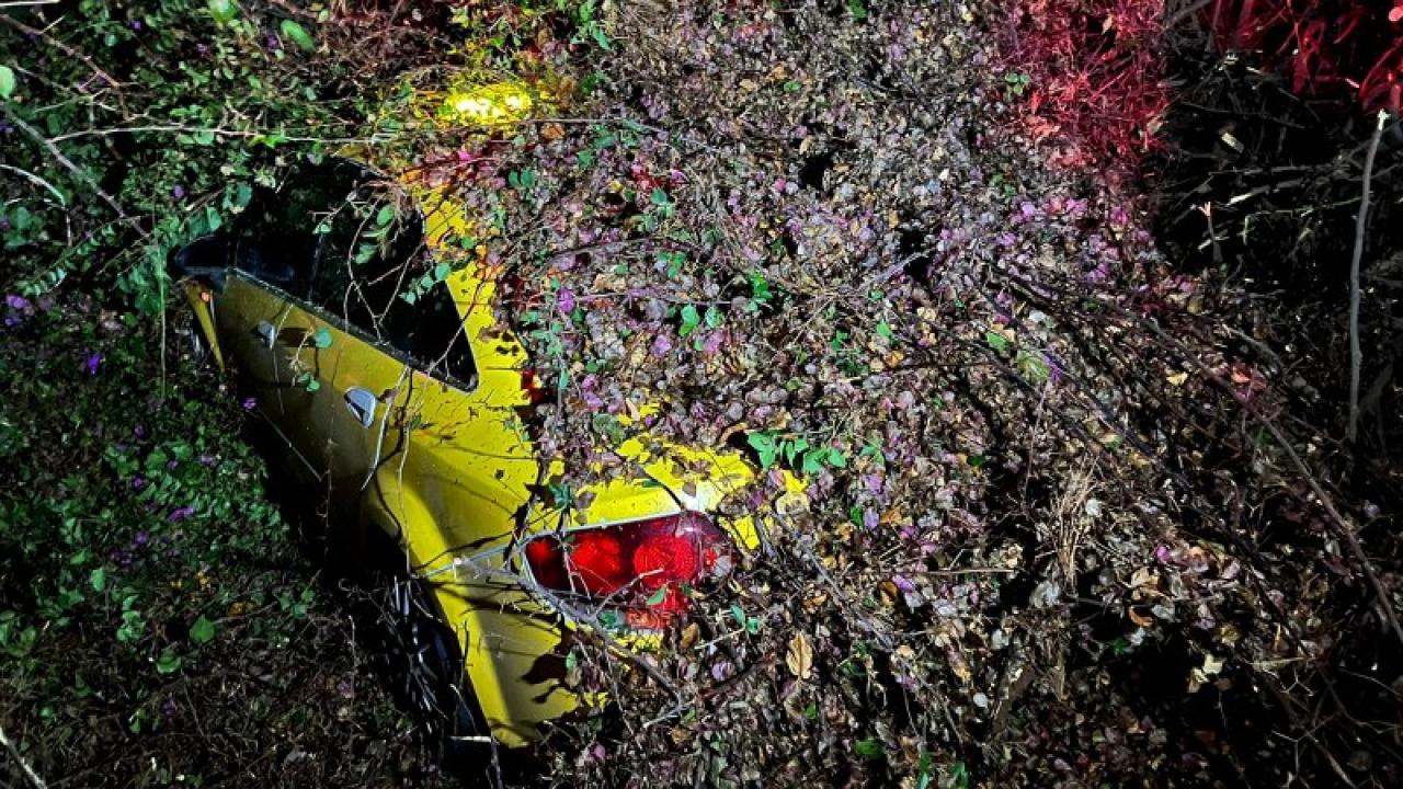 Korku dolu anlar! Sürücüsünün içinde olduğu otomobilin üzerine ağaç devrildi