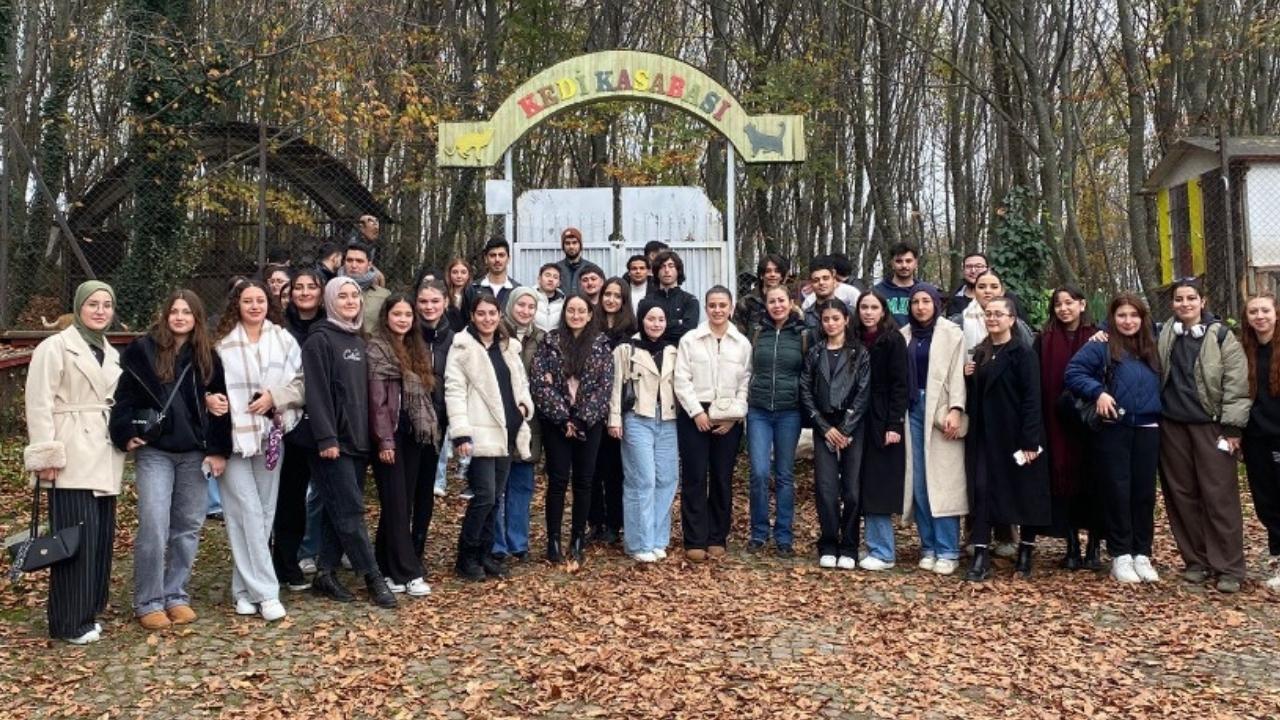 OMÜ'den sokak hayvanlarına mama desteği